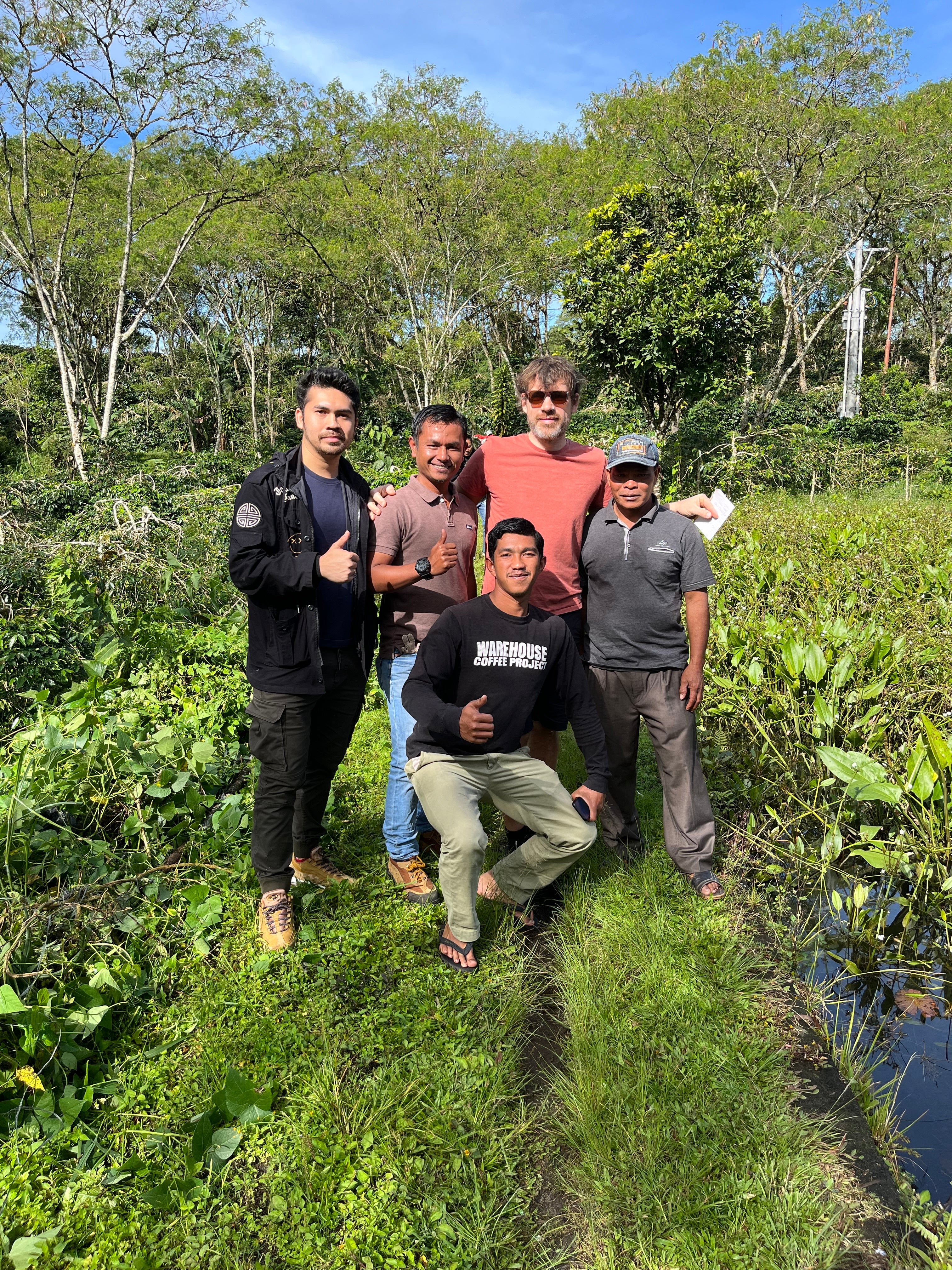 Gamelan - Café Bio d'Indonésie - Sumatra