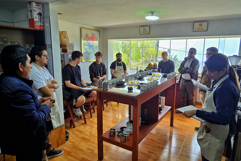 Nouvelle Fleur - Organic Ethiopian Coffee - Sidama
